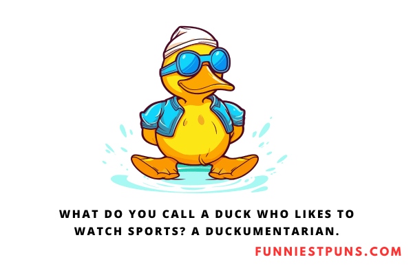 Funny Quack Puns