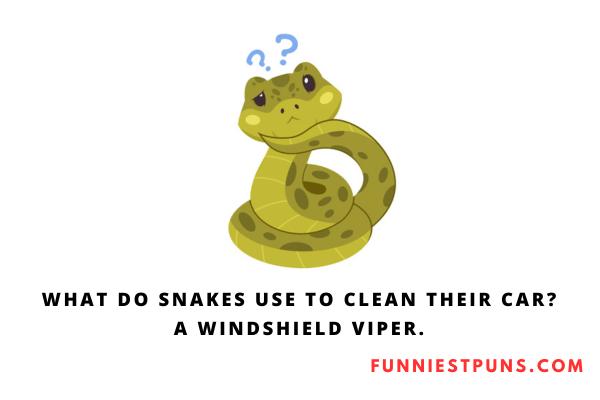 Funny Snake Puns