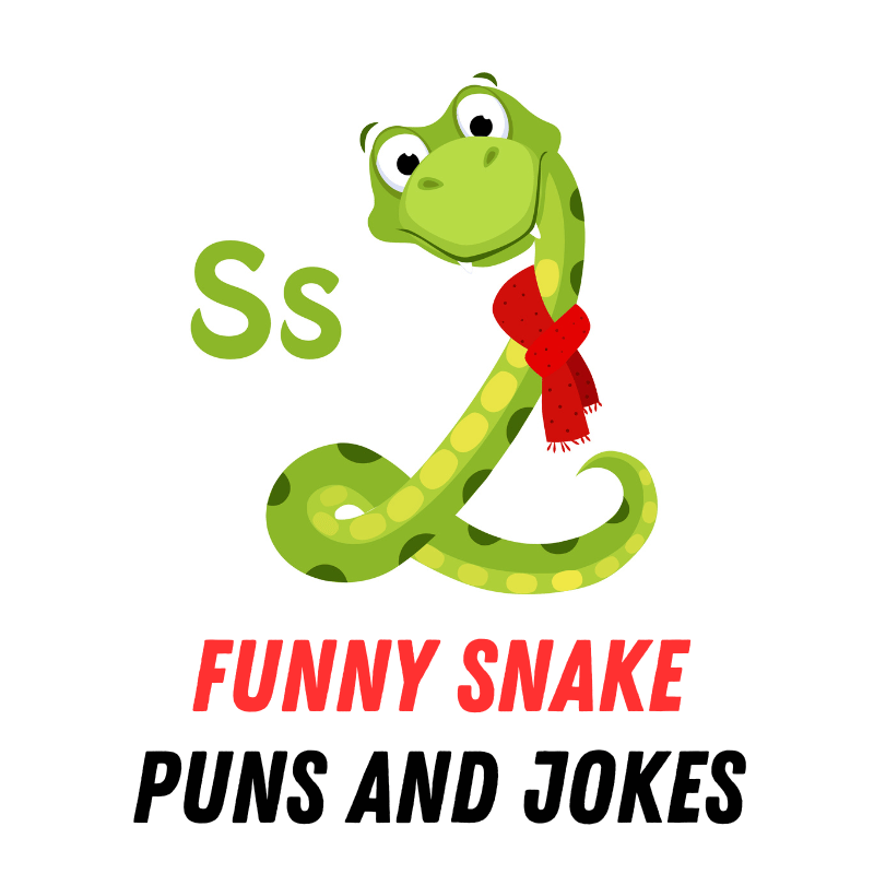 Funny Snake Puns