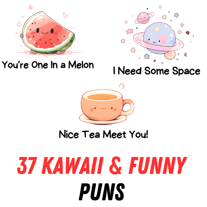Funny Puns: 37 Hilarious Wordplay Collection With Kawaii Images