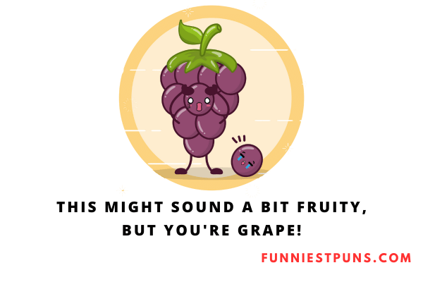Funny Berry Puns