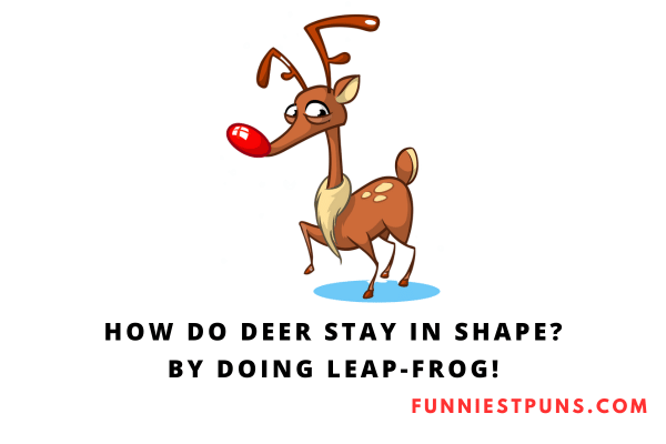 Funny Deer Puns