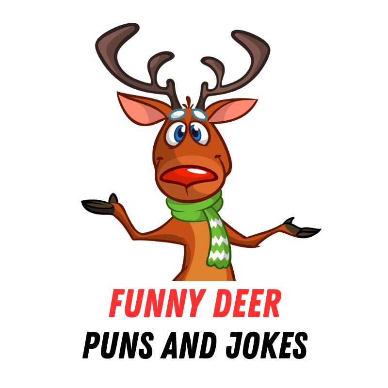 70+ Funny Deer Puns and Jokes: Laughing in the Wild