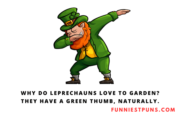 Funny Irish Puns