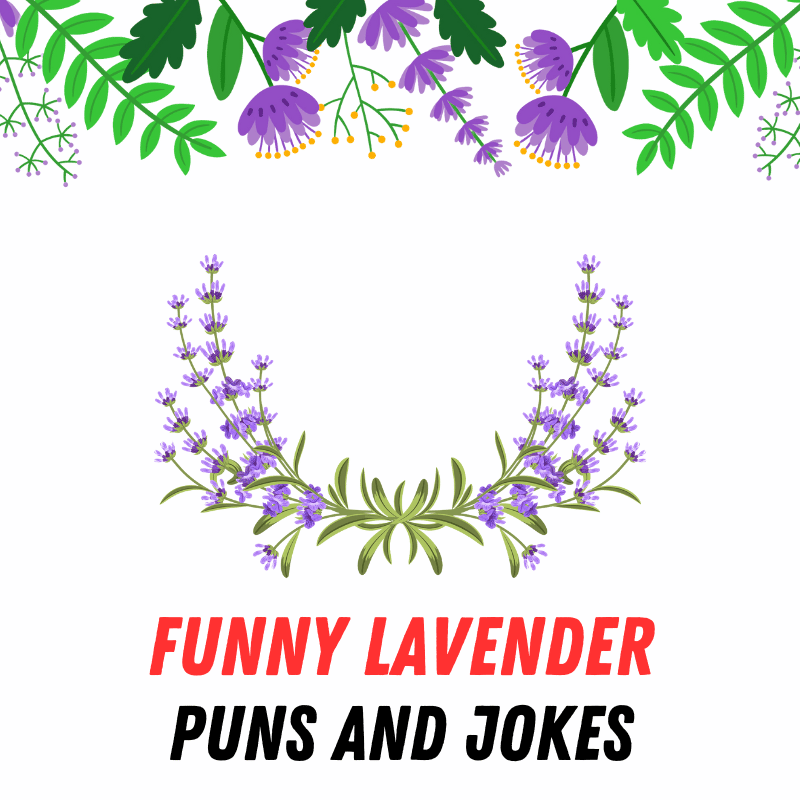 Funny Lavender Puns