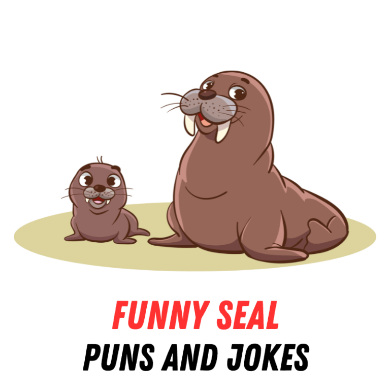 70+ Funny Seal Puns and Jokes: Laughing with Seals - Funniest Puns