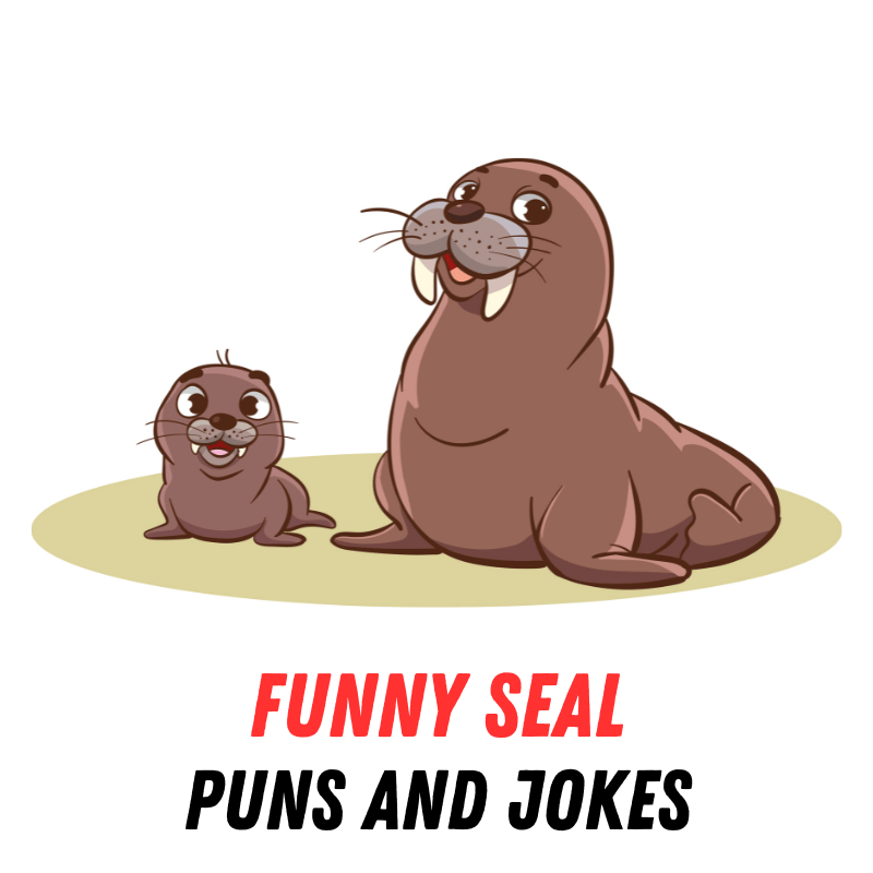 Funny Seal Puns